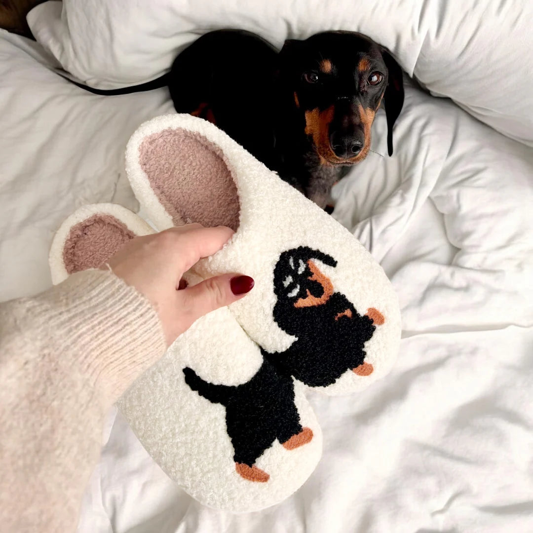 Dachshund Cozy Slippers